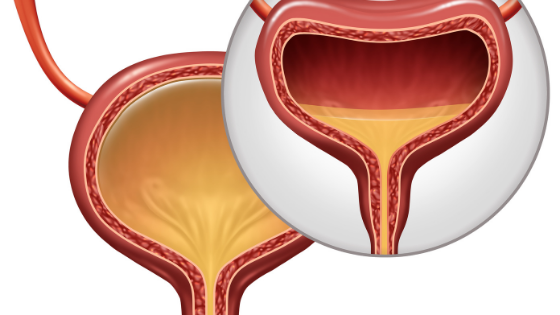Improve your Urinary Health in 2021